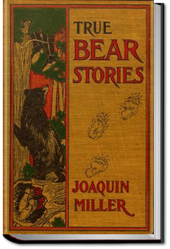 True Bear Stories | Joaquin Miller